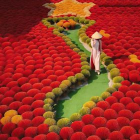 Sáu Nho - Tăm tre Việt Nam