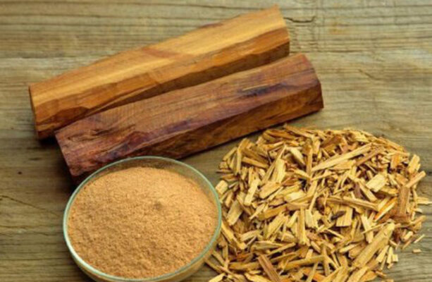 Bot Go Su Dung Nhu The Nao 15550480906282047011672 2