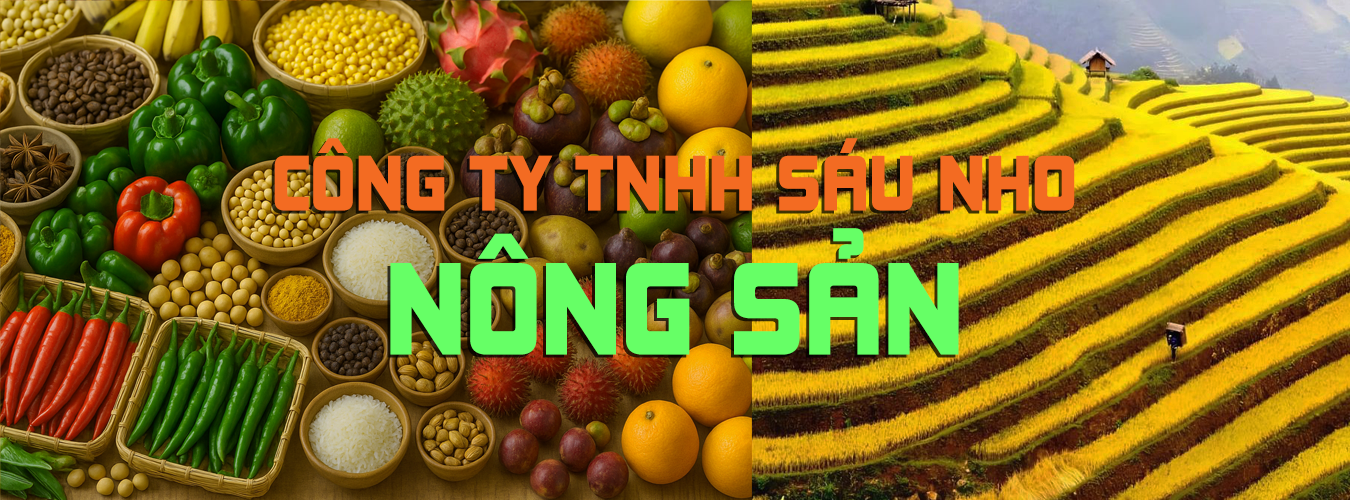 Công ty TNHH Sáu Nho - Chuyên sản xuất & mua bán: Bột nông sản & nông sản các loại.