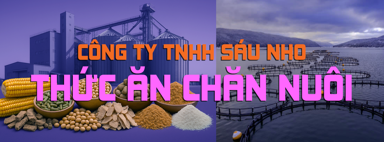 Công ty TNHH Sáu Nho - Chuyên sản xuất & mua bán: Bột thức ăn chăn nuôi & nguyên liệu thức ăn chăn nuôi.