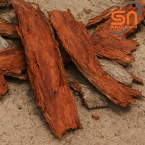 Sáu Nho - Vỏ bời lời
